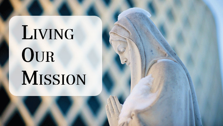 Living our Mission icon link